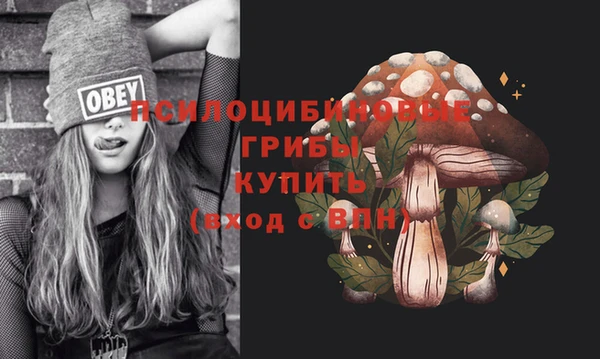 соль курить ск Армянск